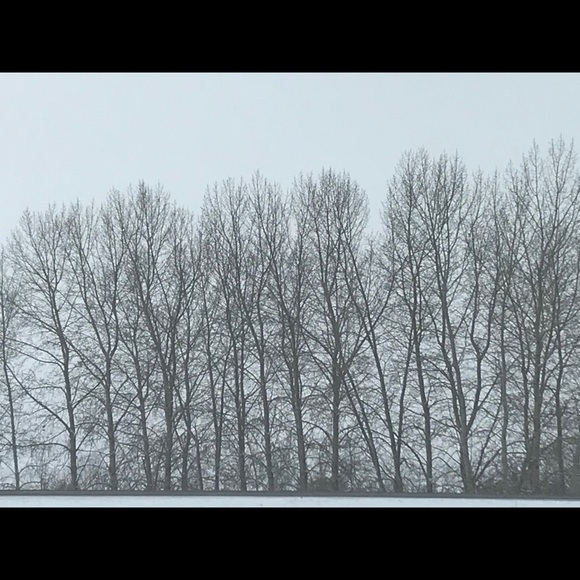 Meet your Posher, Erica - Picture 2 of 2